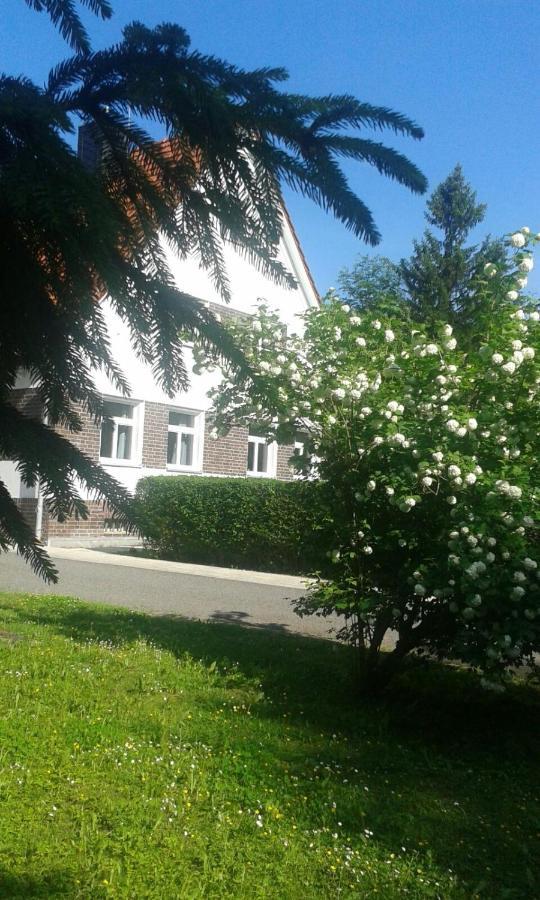 Apartamento Forsthaus Wegenerskopf Thale Exterior foto